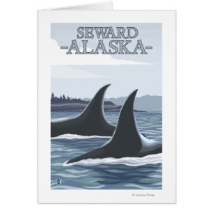 Orca Whales #1 - Seward, Alaska