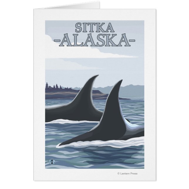Orca Whales #1 - Sitka, Alaska (Vorne)
