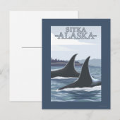 Orca Whales #1 - Sitka, Alaska Postkarte (Vorne/Hinten)