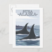 Orca Whales #1 - Sitka, Alaska Postkarte (Vorne/Hinten)
