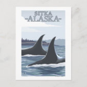 Orca Whales #1 - Sitka, Alaska Postkarte (Vorderseite)