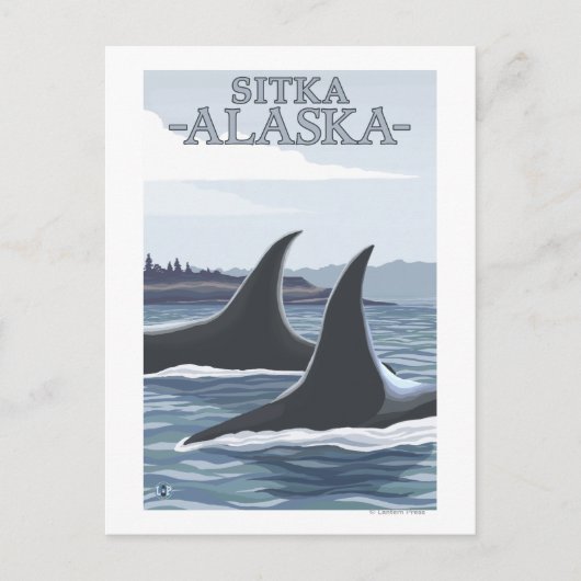 Orca Whales #1 - Sitka, Alaska Postkarte (Vorderseite)