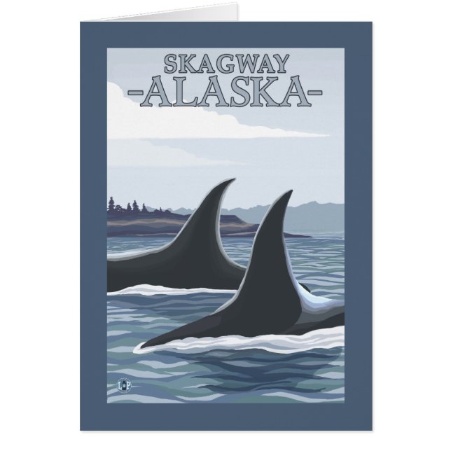 Orca Whales #1 - Skagway, Alaska (Vorne)