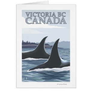 Orca Whales #1 - Victoria, BC Canada
