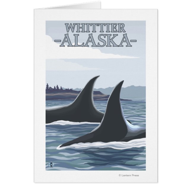 Orca Whales #1 - Whittier, Alaska (Vorne)