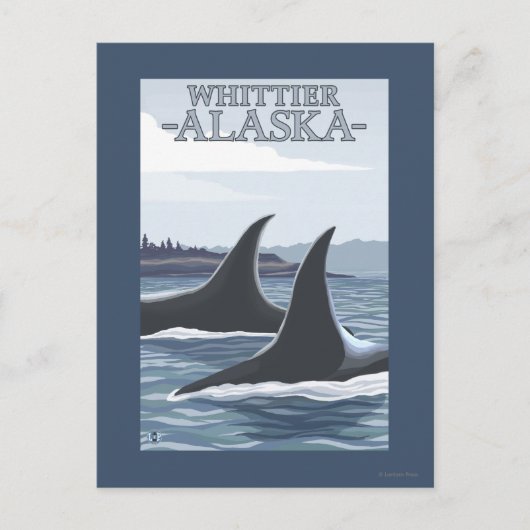 Orca Whales #1 - Whittier, Alaska Postkarte (Vorderseite)