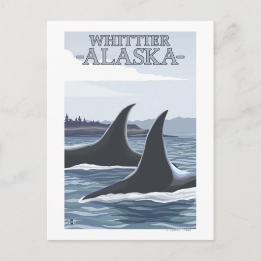 Orca Whales #1 - Whittier, Alaska Postkarte (Vorderseite)