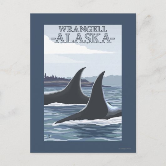 Orca Whales #1 - Wrangell, Alaska Postkarte (Vorderseite)