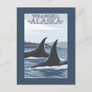 Orca Whales #1 - Wrangell, Alaska Postkarte