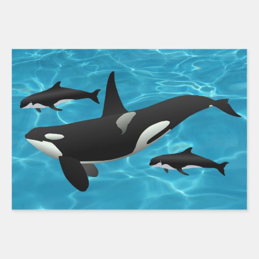 Orca Whales Geschenkpapier Set (Vorderseite)