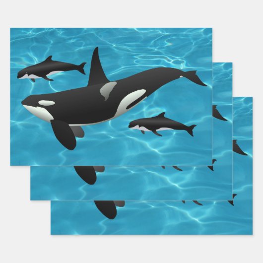 Orca Whales Geschenkpapier Set (Set)