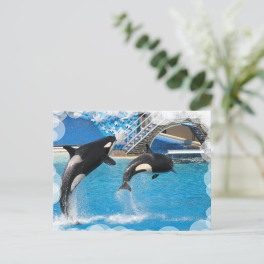 Orca Whales Postcard Postkarte (Stehend Vorderseite)
