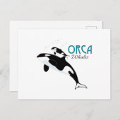 Orca Whales Postkarte (Vorne/Hinten)