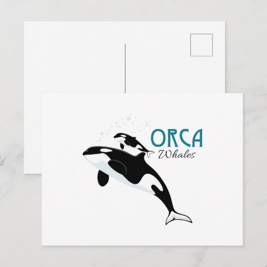 Orca Whales Postkarte (Vorne/Hinten)