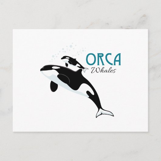 Orca Whales Postkarte (Vorderseite)
