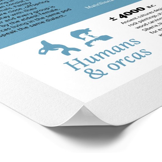 Orcagraphisches Poster - englische Ausgabe (Ecke)