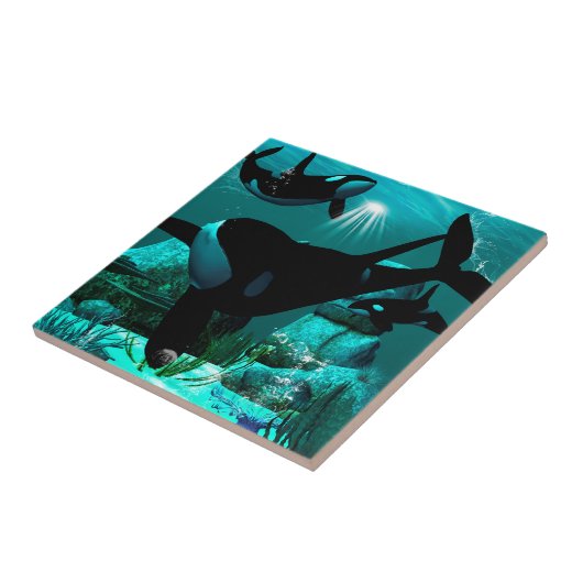 Orcas Fliese (Seite)