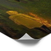 Orcas in a Mystical Forest Poster (Ecke)