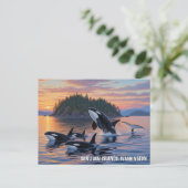 Orcas in Washington san juan Inseln reisen Postkarte (Stehend Vorderseite)