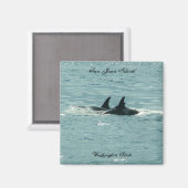 Orcas! Magnet (Vorderseite/Rückseite)