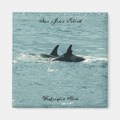 Orcas! Magnet (Vorne)