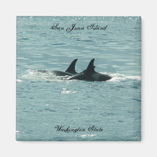 Orcas! Magnet (Vorne)