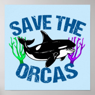 Orcas Niedlich Blue gerettet Poster