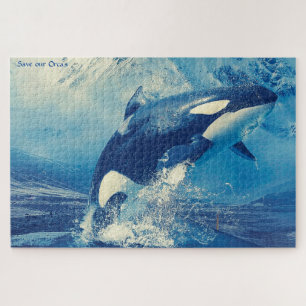 Orcas oder Schwertwale Puzzle