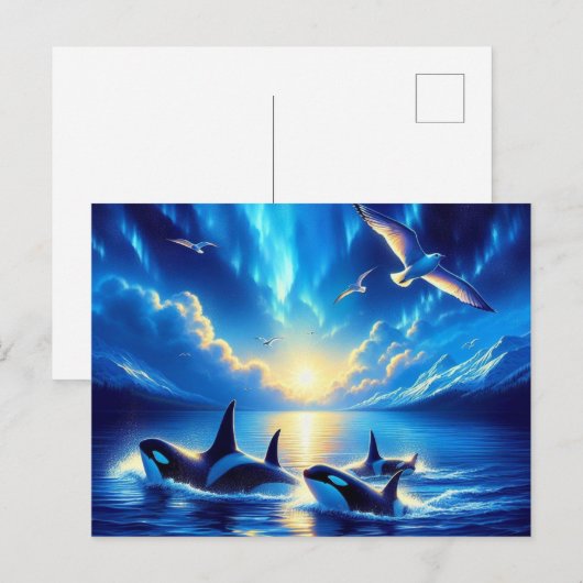 Orcas Postkarte (Vorne/Hinten)