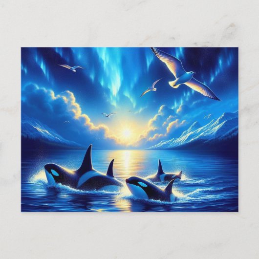 Orcas Postkarte (Vorderseite)