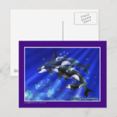 Orcas Postkarte (Vorne/Hinten)