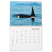 Orcas Wall Calendar Kalender (Feb 2027)