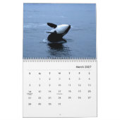 Orcas Wall Calendar Kalender (Mär 2027)