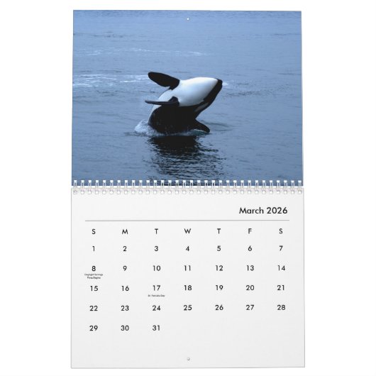 Orcas Wall Calendar Kalender (Mär 2026)