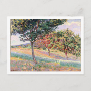 Orchard at St. Cheron, 1893 Postkarte