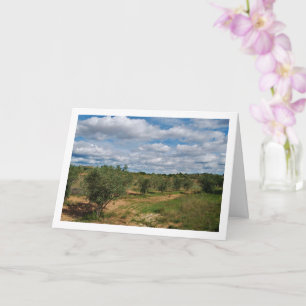 Orchard Cloud Landschaft Karte