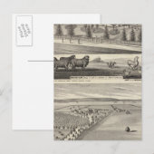 Orchard Farm, Somerville Lodge Postkarte (Vorne/Hinten)