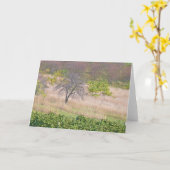 "ORCHARD" (FOTOG/DIGITALMANIP) KARTE (Gelbe Blume)