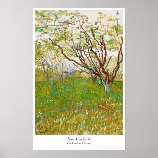 Orchard in Bloom Vincent van Gogh Kunst Poster (Vorne)