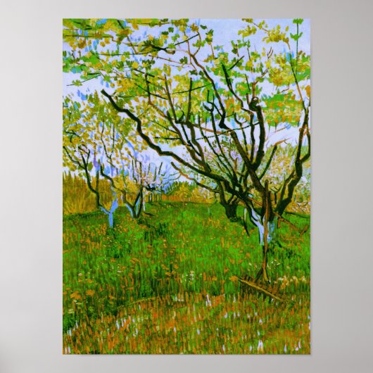 Orchard in Blossom Van Gogh Poster (Vorne)