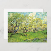 Orchard in Blossom von Vincent van Gogh (Vorne/Hinten)
