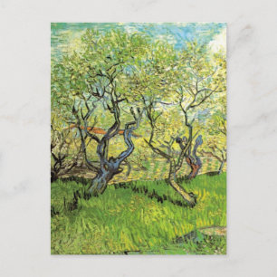 Orchard in Blossom von Vincent van Gogh Postkarte