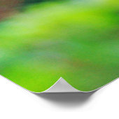 Orchard Orbweaver Spider - Leucauge venusta Poster (Ecke)