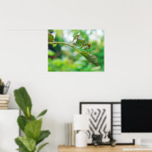 Orchard Orbweaver Spider - Leucauge venusta Poster (Heimbüro)