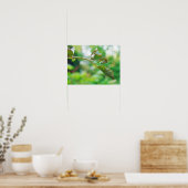 Orchard Orbweaver Spider - Leucauge venusta Poster (Küche)