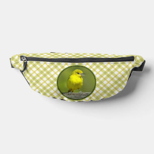 Orchard Oriole Female im Frühjahr Original Foto Bauchtasche