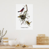 Orchard Oriole - John James Audubon Poster (Küche)