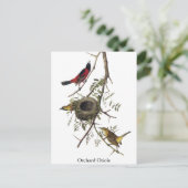 Orchard Oriole - John James Audubon Postkarte (Stehend Vorderseite)