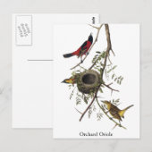 Orchard Oriole - John James Audubon Postkarte (Vorne/Hinten)