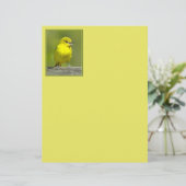 Orchard Oriole - Original Foto (Stehend Vorderseite)